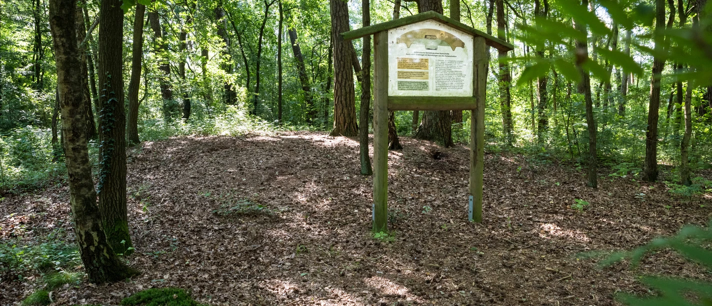 Hügelgräber in den Königstannen