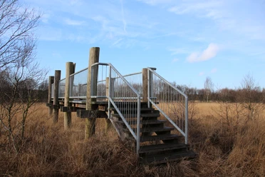 Aussichtsplattform am Naturschutzgebiet Hengstkampkuhlen