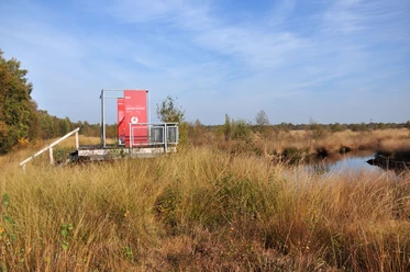Aussichtsplattform im Geestmoor Metallplattform mit roter Infotafel im Moorgebiet, umgeben von Gräsern, Wasserlauf und Bäumen.