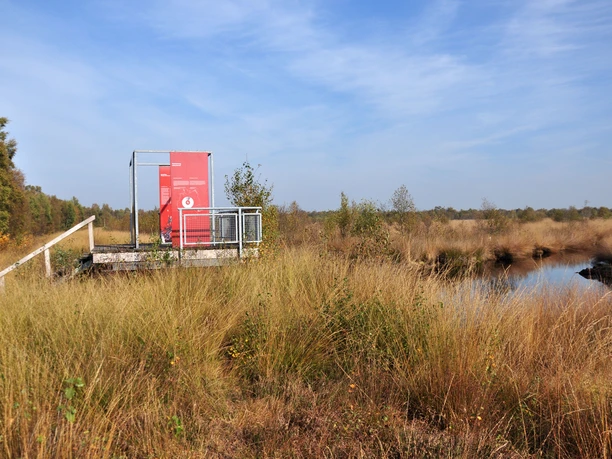 Aussichtsplattform im Geestmoor Metallplattform mit roter Infotafel im Moorgebiet, umgeben von Gräsern, Wasserlauf und Bäumen.