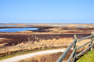 Aussichtshügel im Dalum-Wietmarscher Moor Weitläufige Moorlandschaft mit Wasserflächen, brauner Erde und gelben Gräsern unter blauem Himmel.