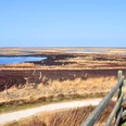 Aussichtshügel im Dalum-Wietmarscher Moor