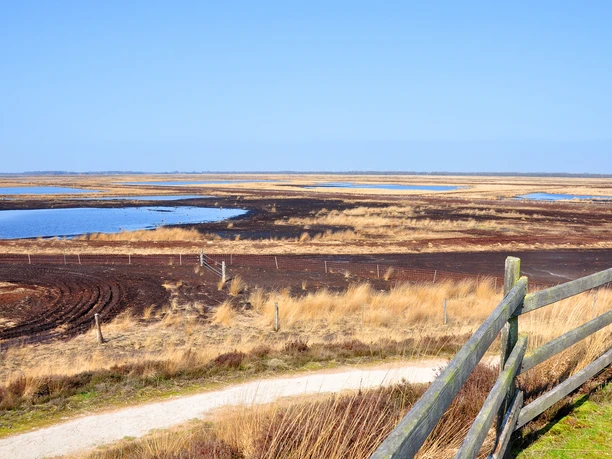 Aussichtshügel im Dalum-Wietmarscher Moor Weitläufige Moorlandschaft mit Wasserflächen, brauner Erde und gelben Gräsern unter blauem Himmel.