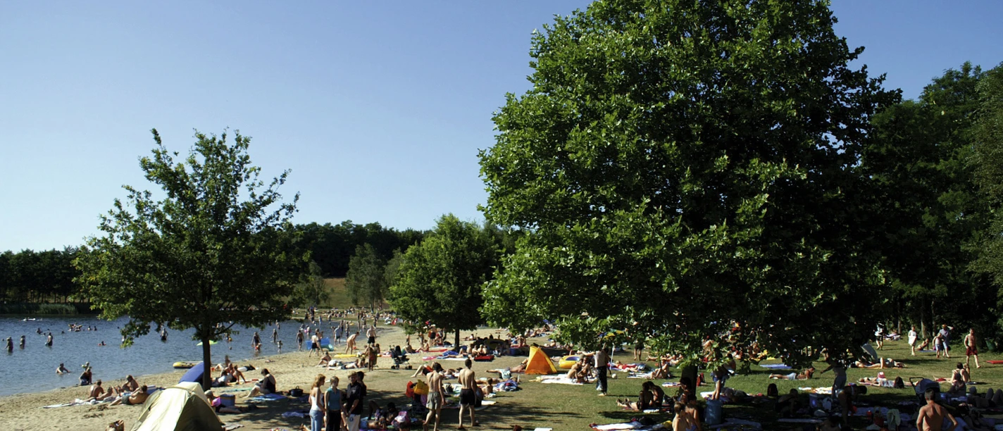 StrandArena Badesee-alfsee-rieste