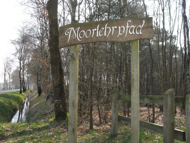 Wegwijzer "Moorlehrpfad" voor een bos en sloot.