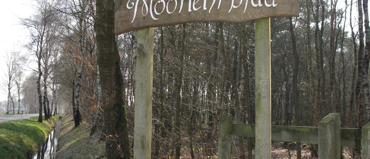 moorlehrpfad-hahnenmoor Wegwijzer "Moorlehrpfad" voor een bos en sloot.