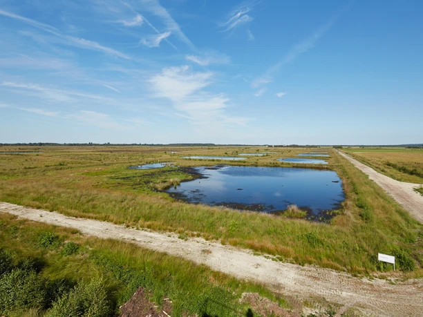 Aussichtsturm Leegmoor Weitläufige Moorlandschaft mit Wasserflächen, Wiesen und Sandwegen unter blauem Himmel.