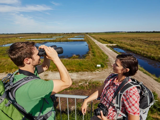 Leegmoor Surwold Zwei Wandernde beobachten von einem Turm aus das weite Moor mit Wasserflächen und Wiesen.