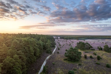 Das Tiefental bei Hermannsburg aus der Luft Aerial view of the heath in the Tiefental valley near Hermannsburg