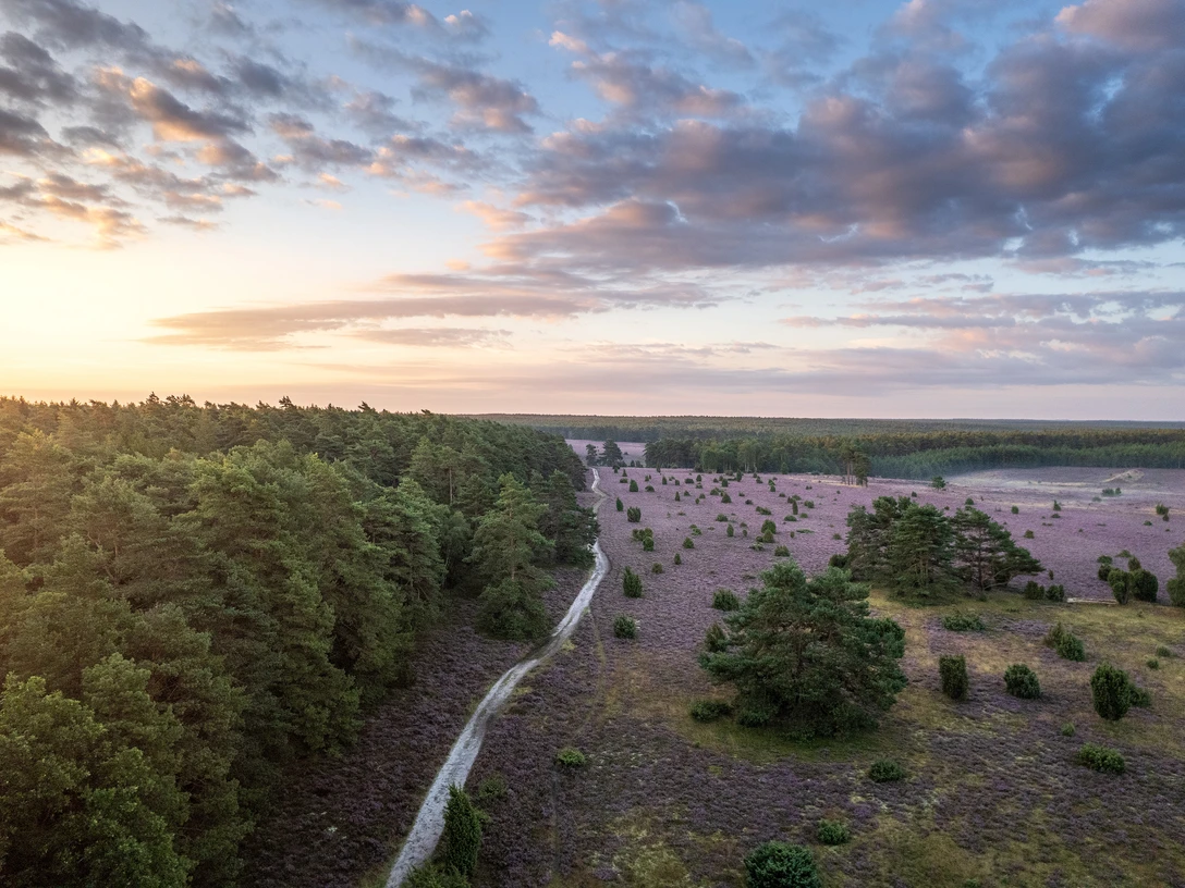 Das Tiefental bei Hermannsburg aus der Luft Luftbild der Heide im Tiefental bei HermannsburgAerial view of the heath in the Tiefental valley near HermannsburgLuftfoto af heden i Tiefental-dalen nær HermannsburgLuchtfoto van de heide in het Tiefental bij Hermannsburg