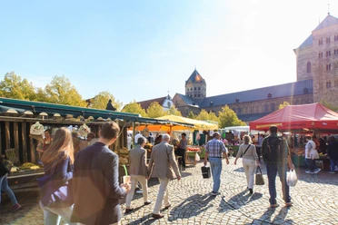 Weekmarkt Osnabrück Domhof Verschillende kraampjes op de weekmarkt in Osnabrück met daarachter de herfstige bomen