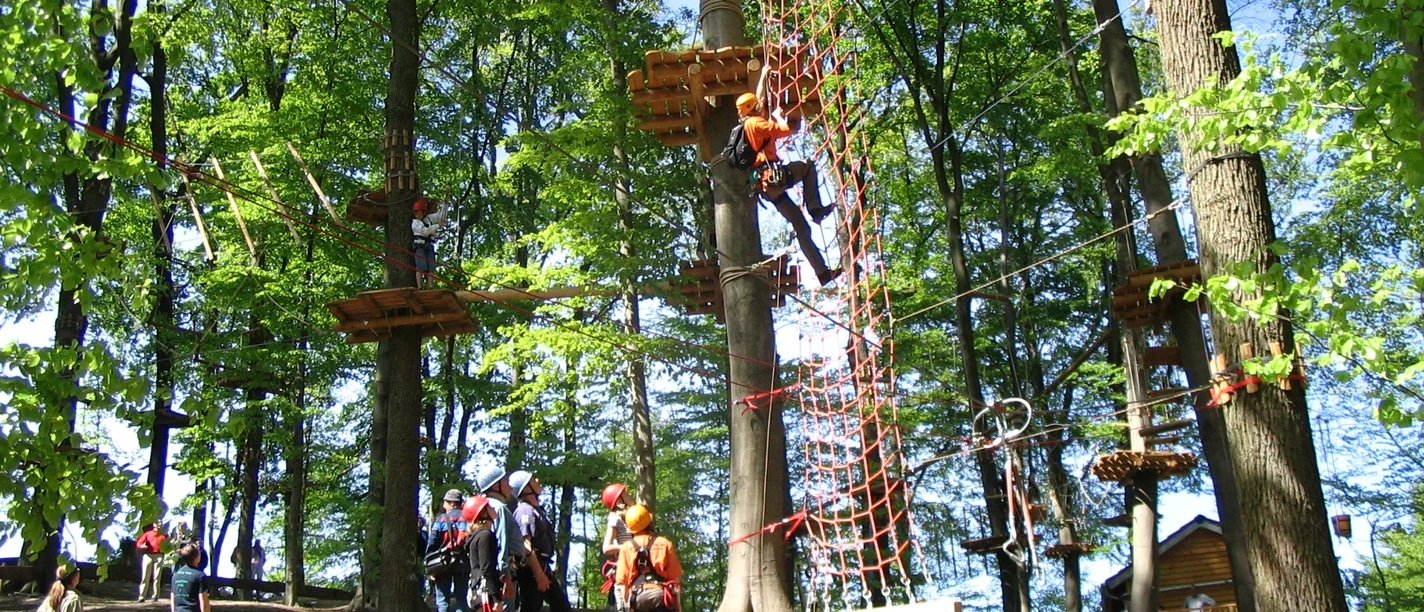 Spannende parcoursen in het klimbos in het Nettetal in Osnabrück