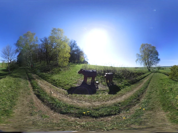 hhs-erlebnisinsel-hasselfelde-3