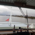 Blick von der Lüneburger Heide Ausblick Fahrgastschiff Lüneburger Heide