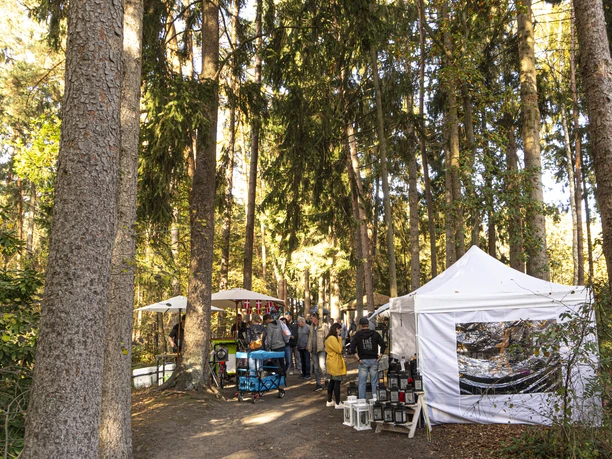 Herbstmarkt im Wildpark Müden