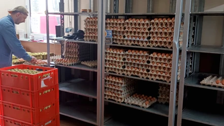 Verpackung von Eiern im SB-Hofladen Stöver in Breddorf Verpackung von Eiern im SB-Hofladen Stöver in Breddorf