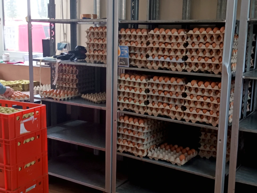 Verpackung von Eiern im SB-Hofladen Stöver in Breddorf Verpackung von Eiern im SB-Hofladen Stöver in Breddorf