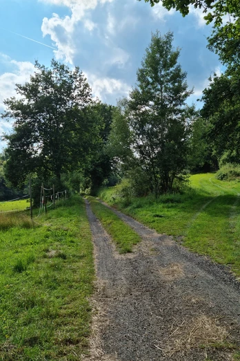 Waldwiesental genannt Taubenloch