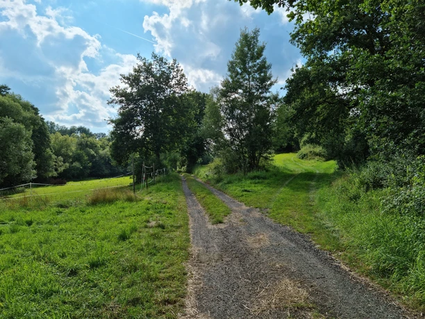 Waldwiesental genannt Taubenloch