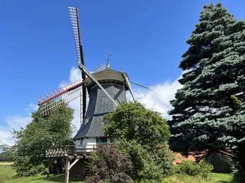 Schmomühle Eine historische Windmühle mit rotem Dach, umgeben von Bäumen, steht vor einem klaren blauen Himmel.
