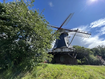 Schmomühle Historische Windmühle mit rotem Flügelkreuz im Grünen, blauer Himmel und Bäume im Hintergrund.