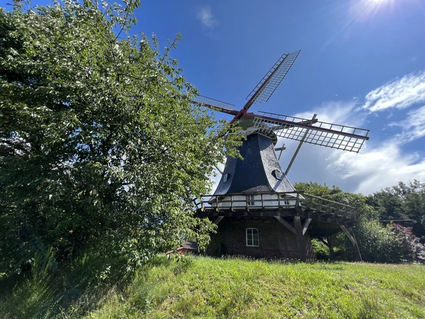 Historische Windmühle mit rotem Flügelkreuz im Grünen, blauer Himmel und Bäume im Hintergrund.