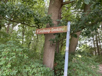 Wegweiser zum Lindhoopdenkmal in einem grünen Wald, von Bäumen umrahmt, bei klarem Wetter.