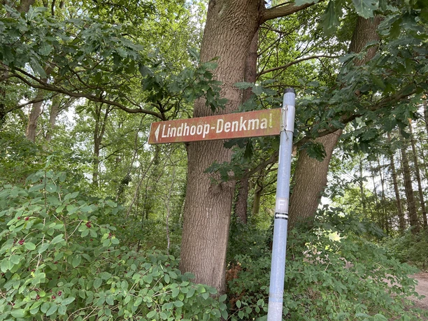Wegweiser zum Lindhoopdenkmal in einem grünen Wald, von Bäumen umrahmt, bei klarem Wetter.