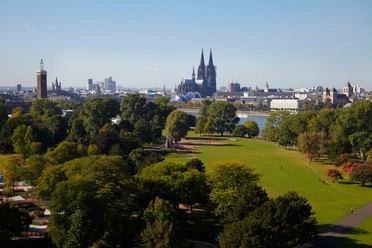 Rhine Park The picture shows Cologne's Rhine Park with its extensive green space. Cologne Cathedral and the old town rise majestically in the background, flanked by the Hohenzollern Bridge. Trees and bushes line the meadows.