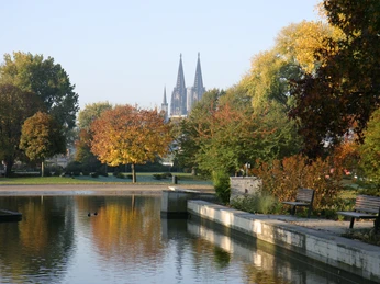 Rheinpark Herbstliche Bäume im Kölner Rheinpark spiegeln sich im Wasser. Der Dom thront im Hintergrund.Autumnal trees in Cologne's Rhine Park are reflected in the water. The cathedral towers in the background.