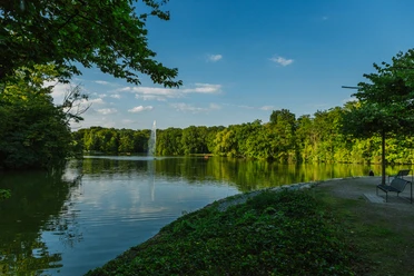 Stadtwald Blick auf einen ruhigen Waldsee im Kölner Stadtwald. Dunkelgrünes Laub spiegelt sich im Wasser.