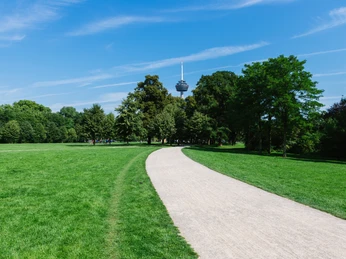 Cologne green belt Weitläufige grüne Wiese mit geschwungenem Weg, umrahmt von Bäumen, mit dem Kölner Fernsehturm im Hintergrund.Extensive green meadow with curved path, framed by trees, with the Cologne television tower in the background.