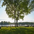 Aachener Weiher Menschen entspannen im Grünen am Aachener Weiher in Köln, unter schattigen Bäumen am Wasser. People relaxing in the greenery at Aachener Weiher in Cologne, under shady trees by the water.