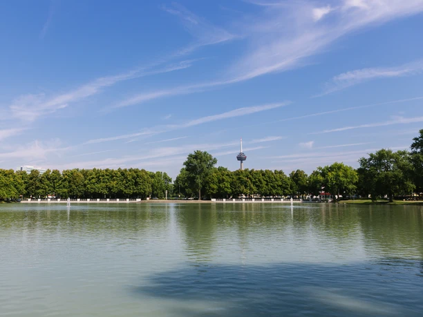 Aachener Weiher Ein klarer blauer Himmel spannt sich über den weitläufigen Aachener Weiher, umrahmt von grünen Bäumen, mit dem Kölner Fernsehturm im Hintergrund.