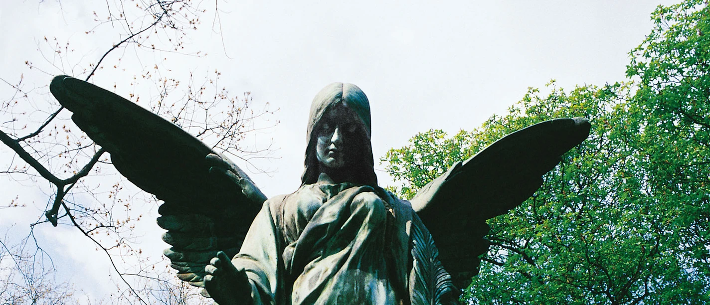 Melaten Cemetery The majestic statue of an angel with wide-open wings rises majestically against a backdrop of blossoming spring foliage and a clear sky.