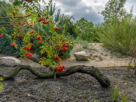 Botanischer Garten © Rainer Ganske