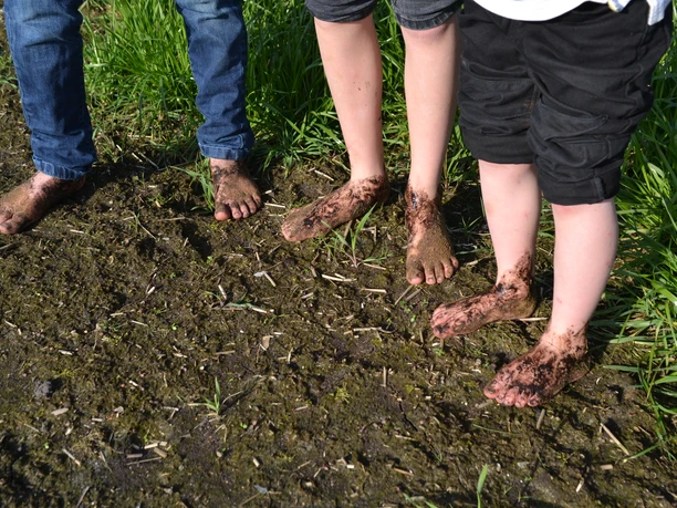 Barfußpfad Hümmlinger Land Drei Personen gehen barfuß durch feuchten Boden, ihre Füße sind mit Erde und Gras bedeckt.