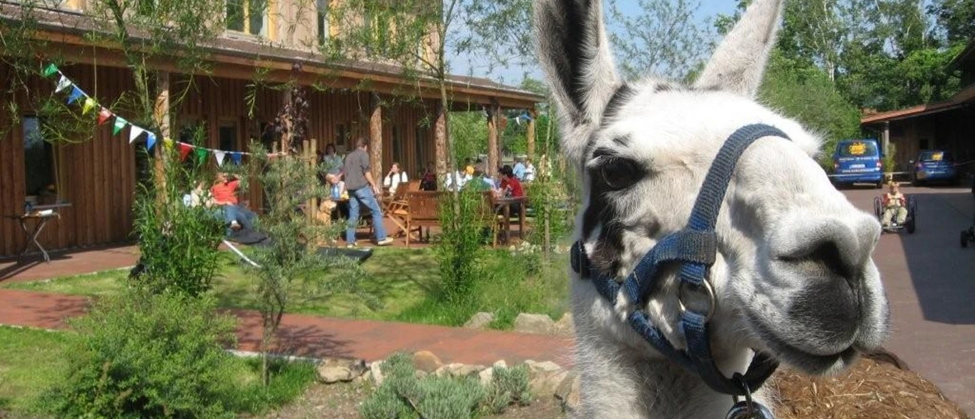 arche-alfsee-osnabruecker-land-c-archealfsee