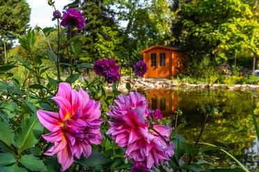 Rosarium Wilhelmshaven © Rainer Ganske
