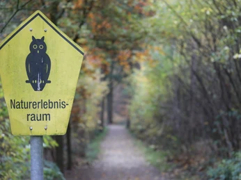 burger_waldmuseum_luftkurort_burg-1