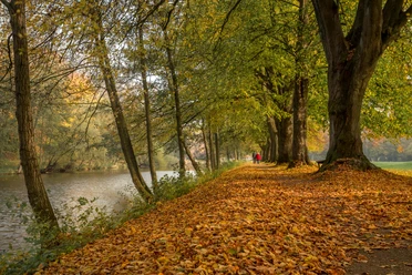 Herbstspaziergang im Stadtpark