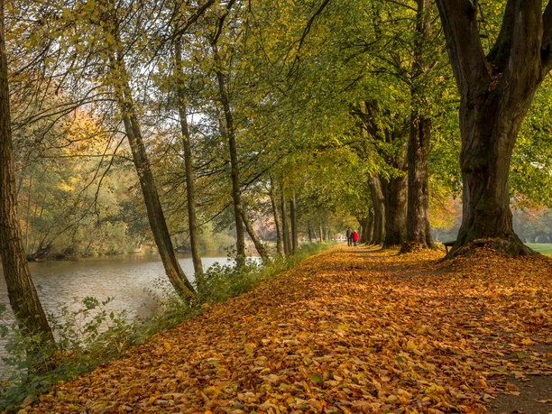 Herbstspaziergang im Stadtpark