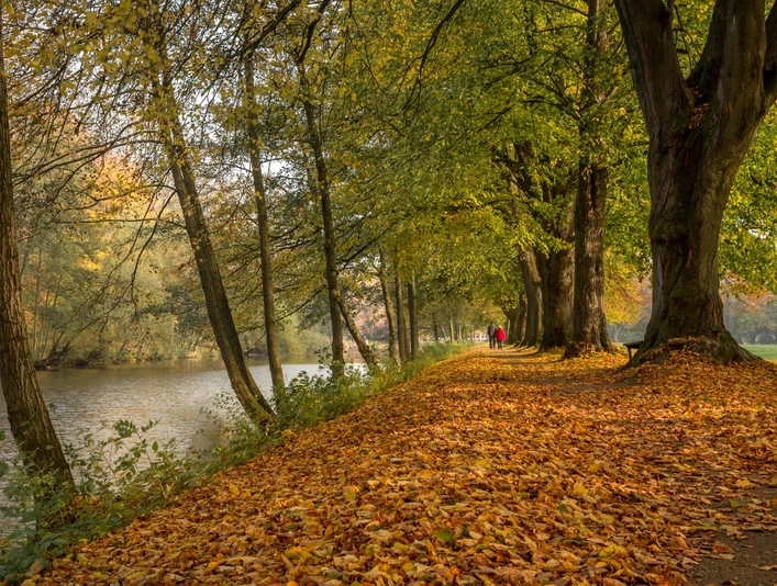 Herbstspaziergang im Stadtpark