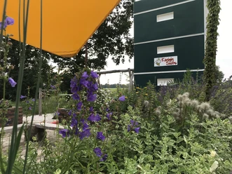 2018-06-09-19-35-47-1