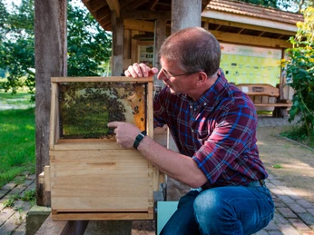 inp_leue_bienenzentrum5