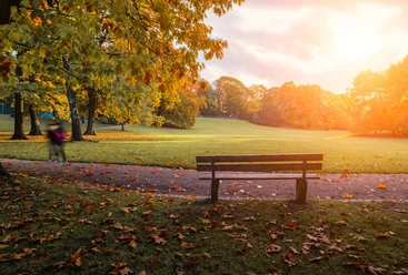 Herbstszene mit einer Parkbank im Vordergrund, umgeben von bunten Blättern und Bäumen, beleuchtet von einem warmen Sonnenuntergang.