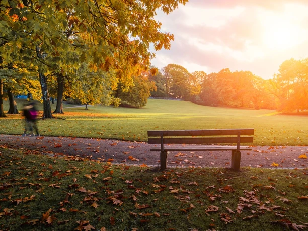 Herbstszene mit einer Parkbank im Vordergrund, umgeben von bunten Blättern und Bäumen, beleuchtet von einem warmen Sonnenuntergang.