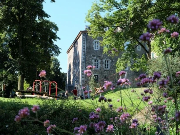 Burg Frankenberg umgeben von grünen Bäumen und violetten Blumen im Vordergrund.