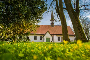 Petri-Kirche in Burg