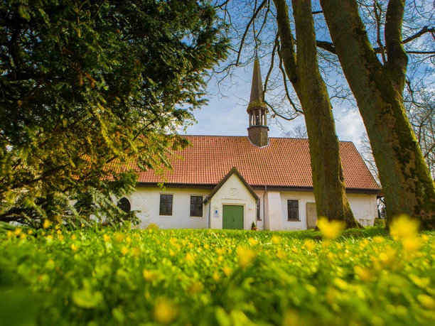 Petri-Kirche in Burg